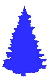 blue_pine.jpg